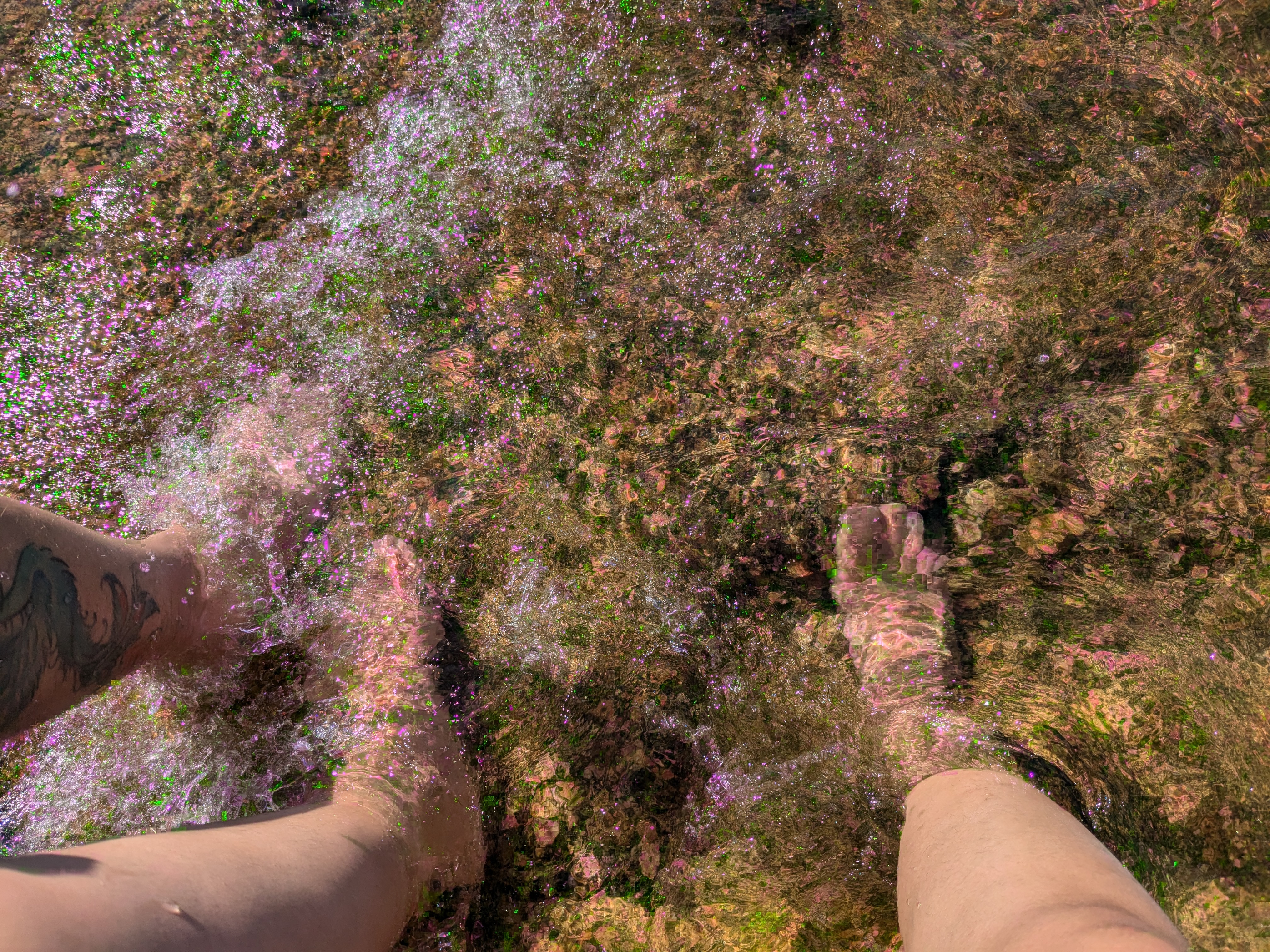 Les pieds dans l'eau dans l'eau de mer, plage de Trégastel
