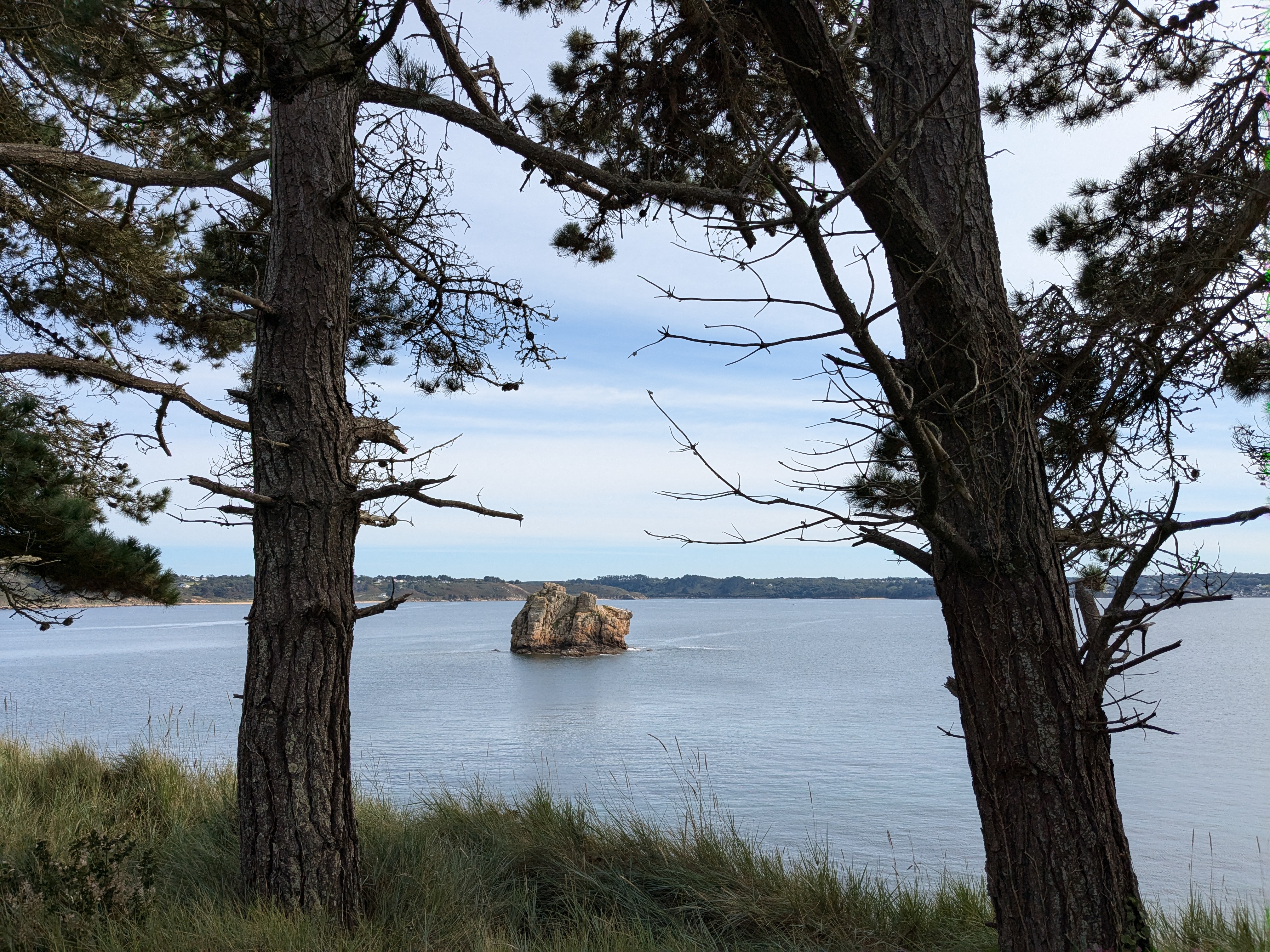 Forêt - Vue sur la mer