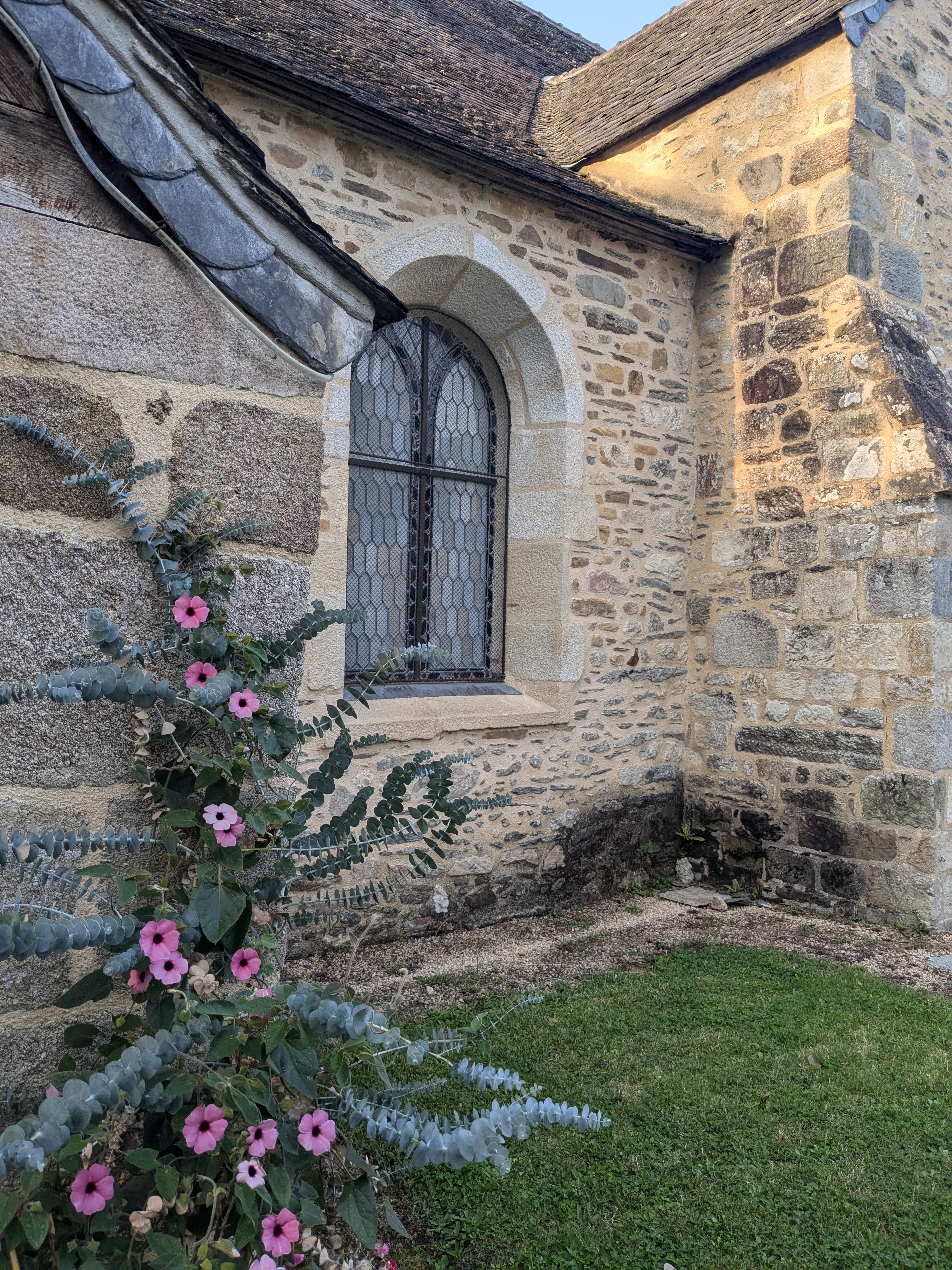 Eglise de Locquénolé avec de l'eucalyptus proche